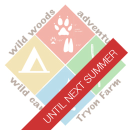 Wild Woods Adventure